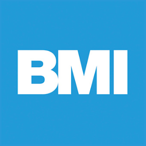 BMI Group